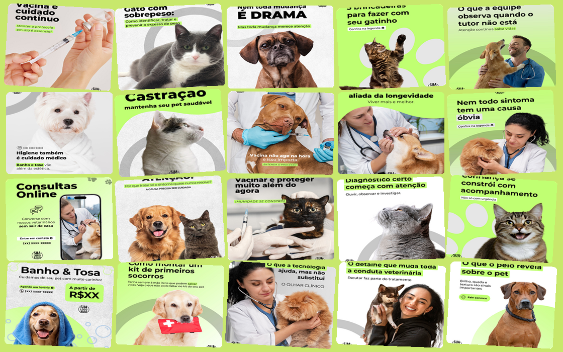 Banner do Kit de Marketing Fly Vet mostrando templates de posts, Reels e bios