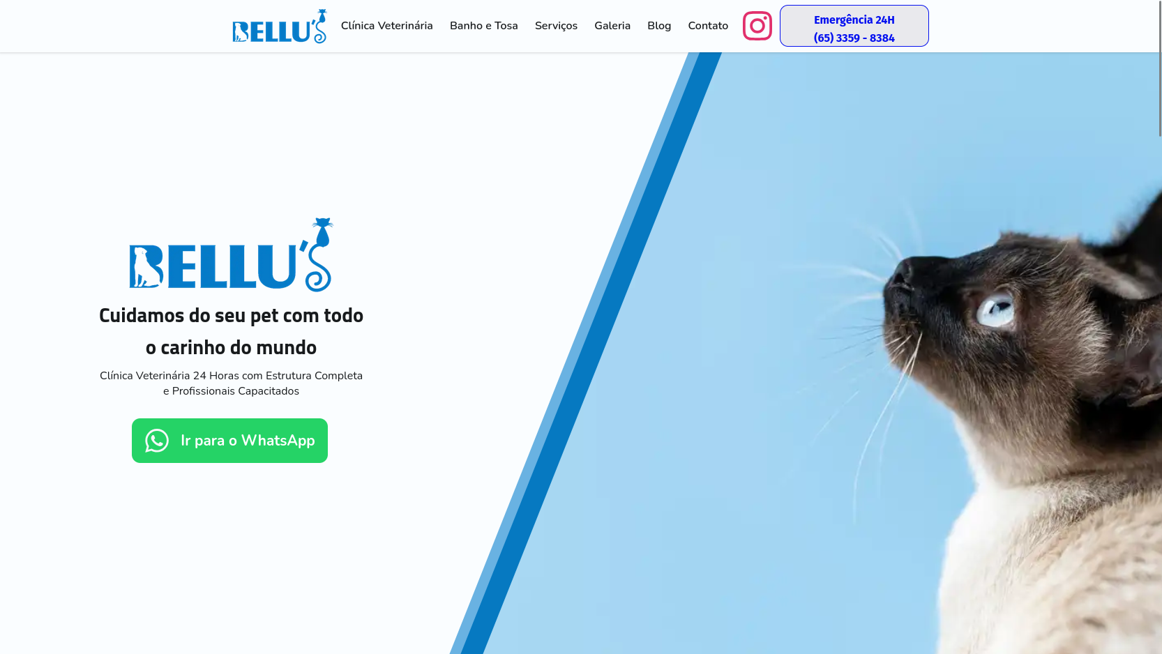 5 templates de site disponíveis pra clínica veterinária na Fly Vet (modelos 1 a 5)