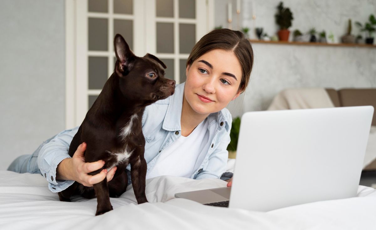 Como o site veterinário criado pela Fly Vet vai triplicar os seus clientes?