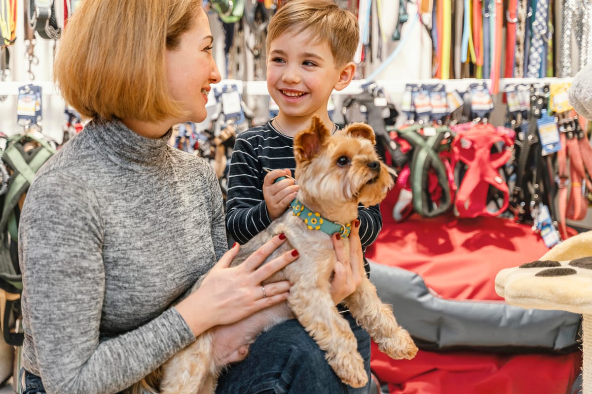 5 passos de como melhorar a gestão do Pet Shop