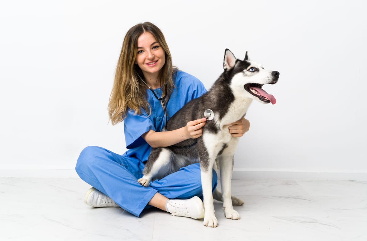 Marketing Digital para Clínicas Veterinárias: Guia Completo para Potencializar Seu Negócio