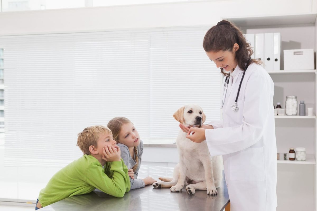 Fidelizar os clientes da sua clínica veterinária: é importante?