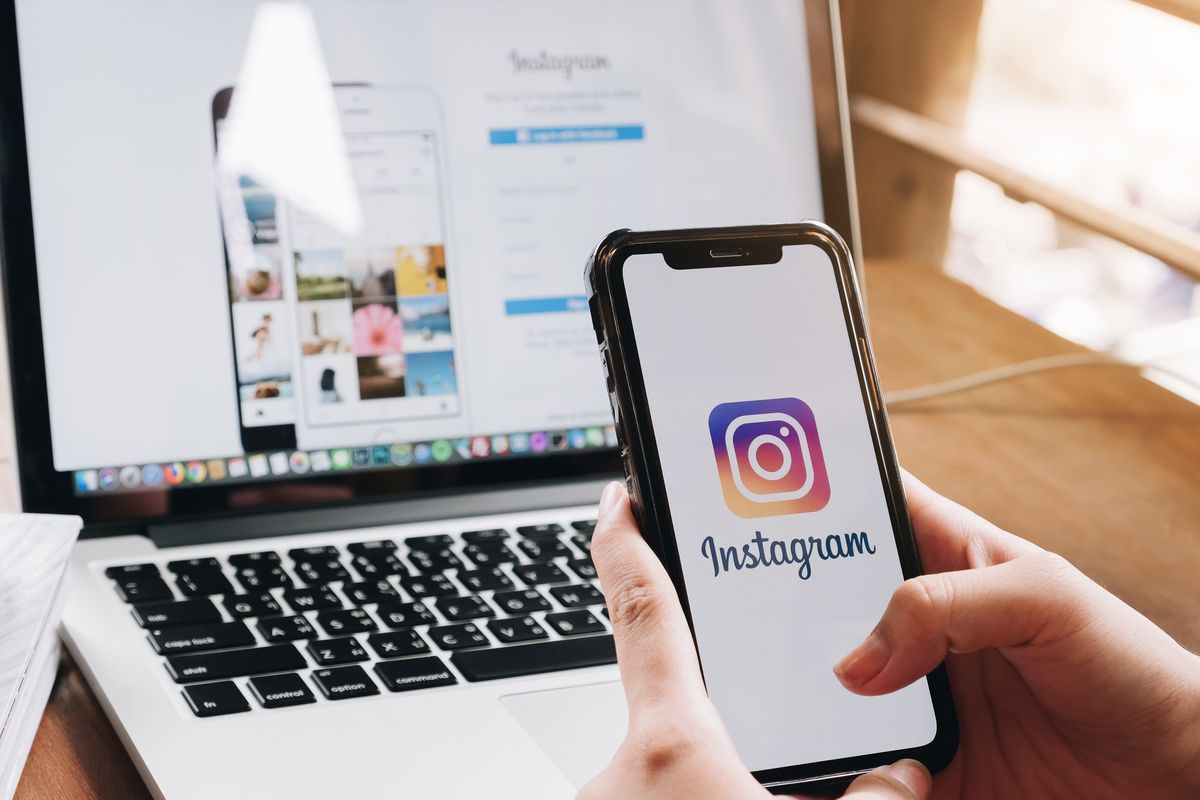 Clínica veterinária nas redes sociais: 10 funções do Instagram