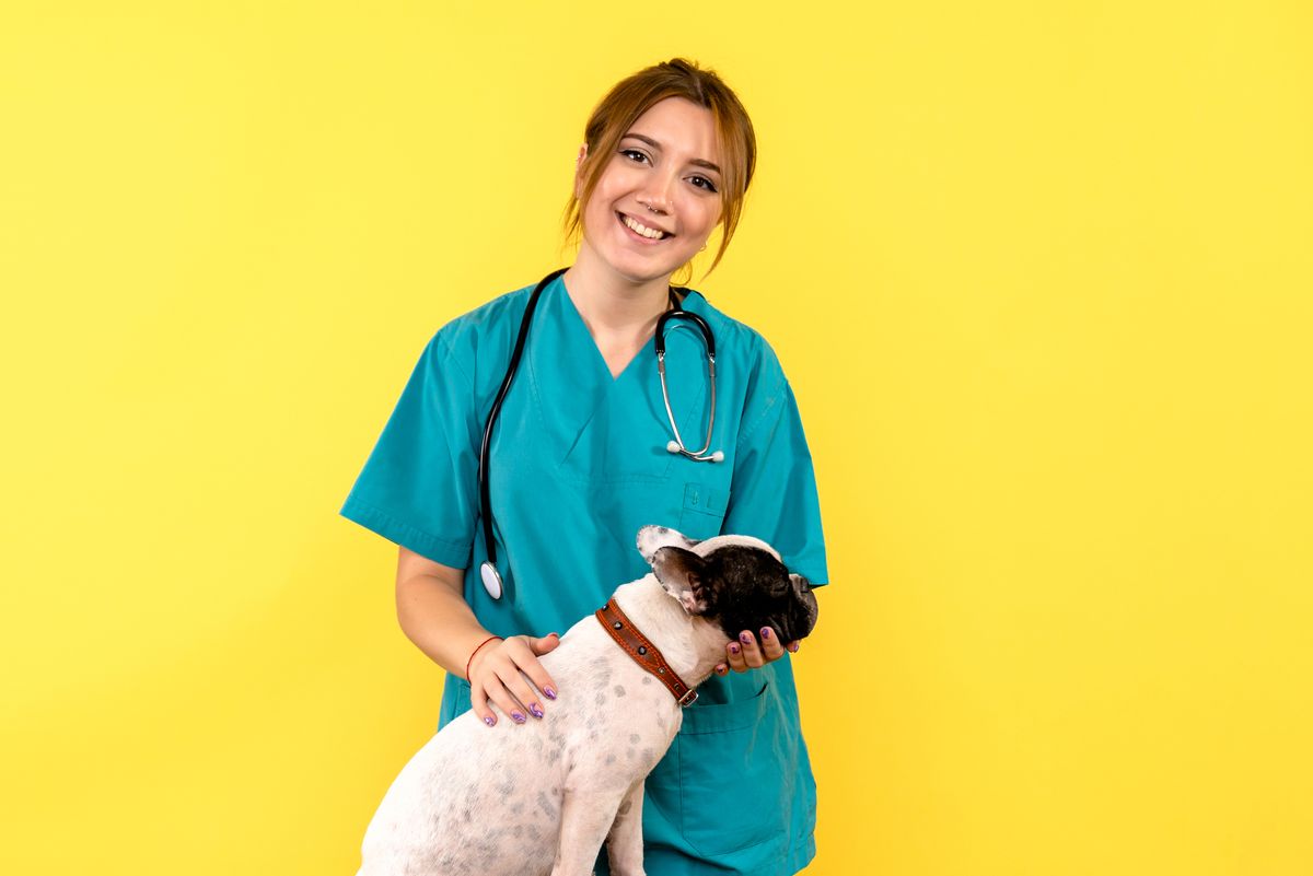 Qual é o número ideal de tutores para a clínica veterinária?