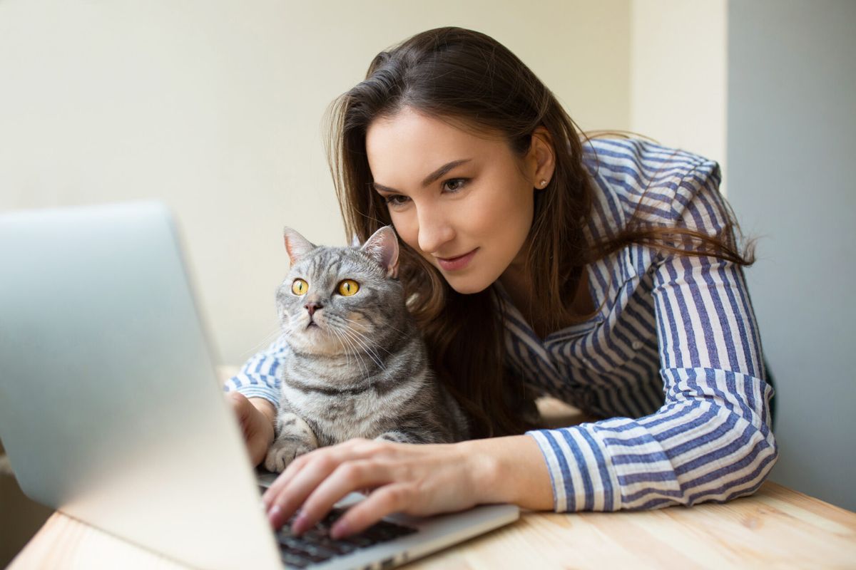 Como as redes sociais da clínica veterinária fidelizam tutores?