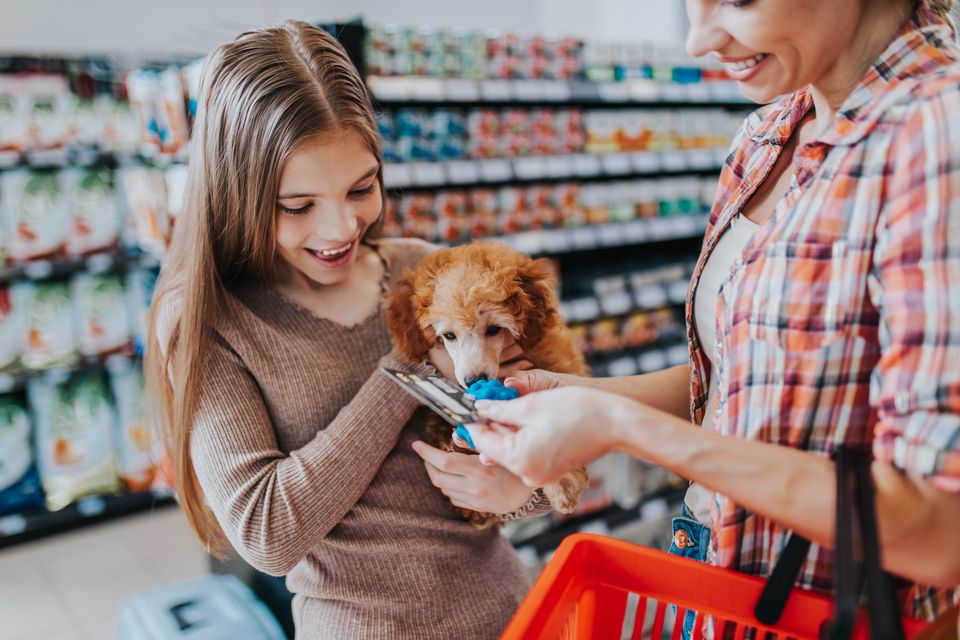 Marketing digital para Pet Shop é um bom investimento?