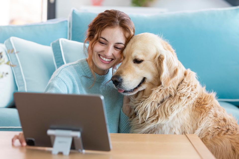 Por que investir em um site veterinário em 2023?