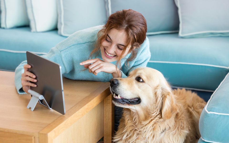 Posts para Instagram Veterinário: 5 ideias para sua rede social