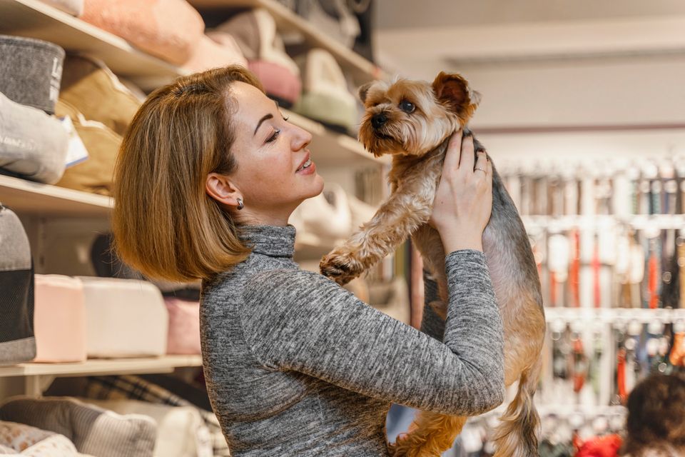 Como aumentar as vendas do Pet Shop?