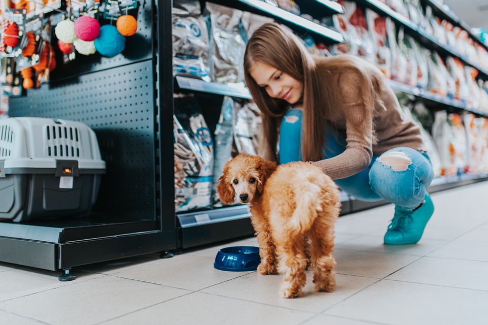 ChatGPT para Pet Shop: como a IA Pode Te Ajudar