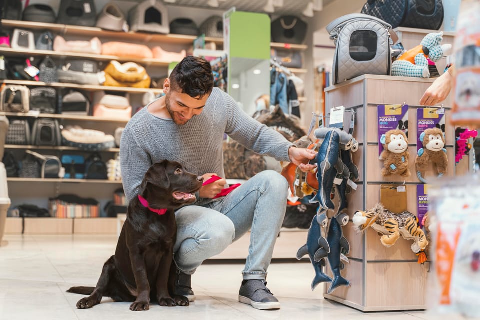 Como montar e LUCRAR com uma empresa pet em 2025!