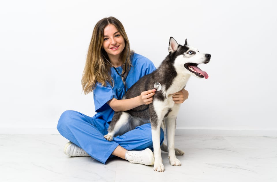 Marketing Digital para Clínicas Veterinárias: Guia Completo para Potencializar Seu Negócio