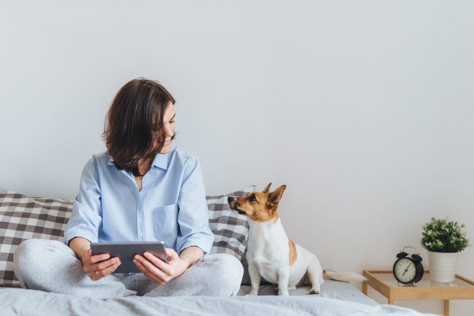 Jornada do cliente na clínica veterinária: Entenda!