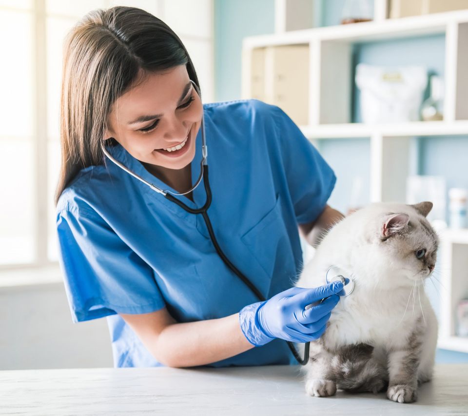 Aumentar a produtividade da recepcionista da clínica? Descubra!