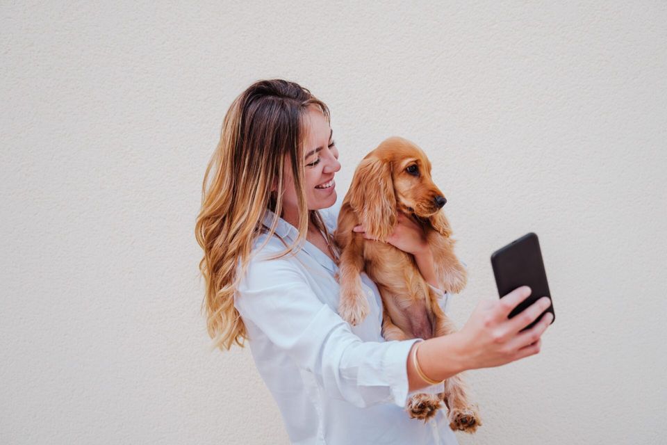Instagram para veterinários autônomos: como divulgar seu trabalho!