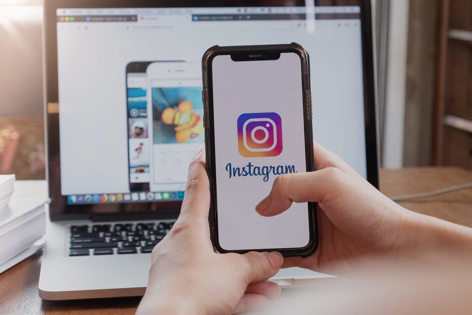 Como se destacar no Instagram como Veterinário