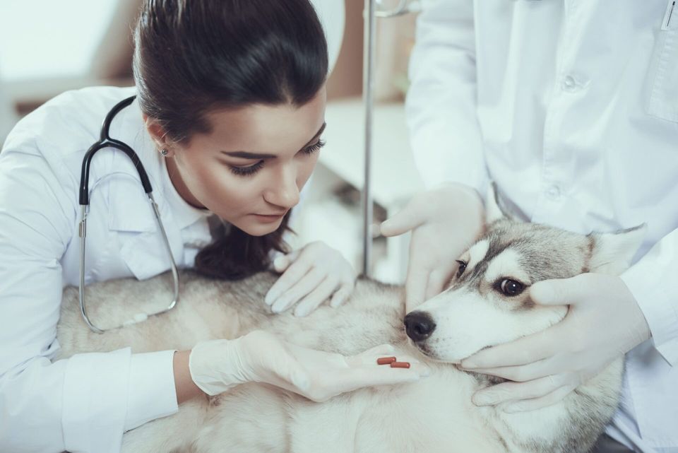 Como aumentar o retorno de clientes em sua clínica