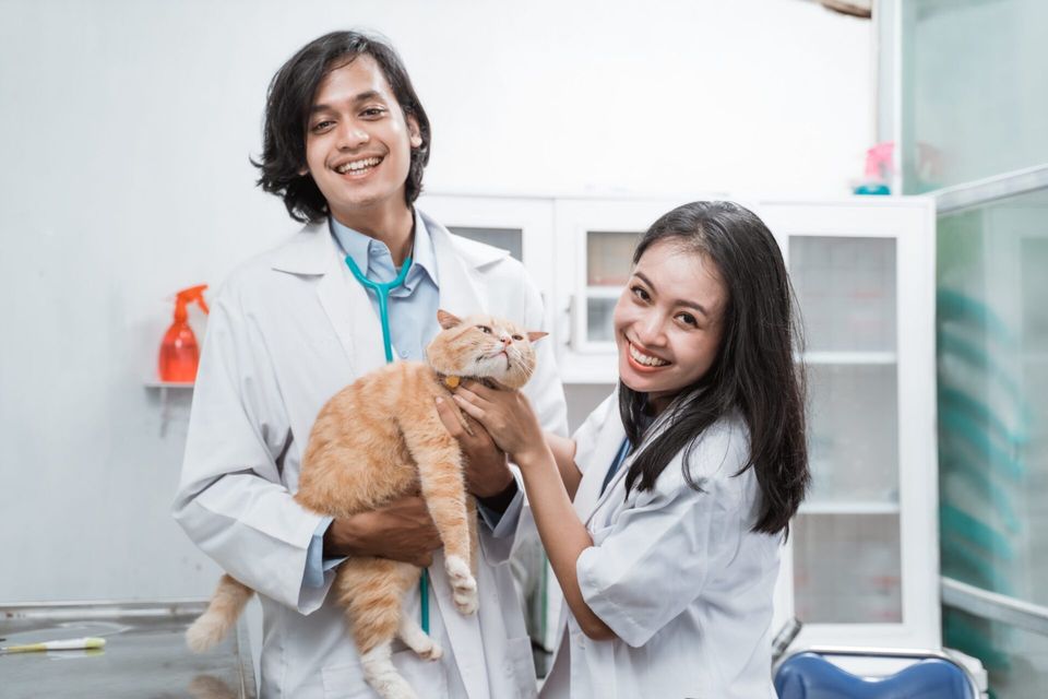 Como veterinários empreendedores fidelizam seus clientes