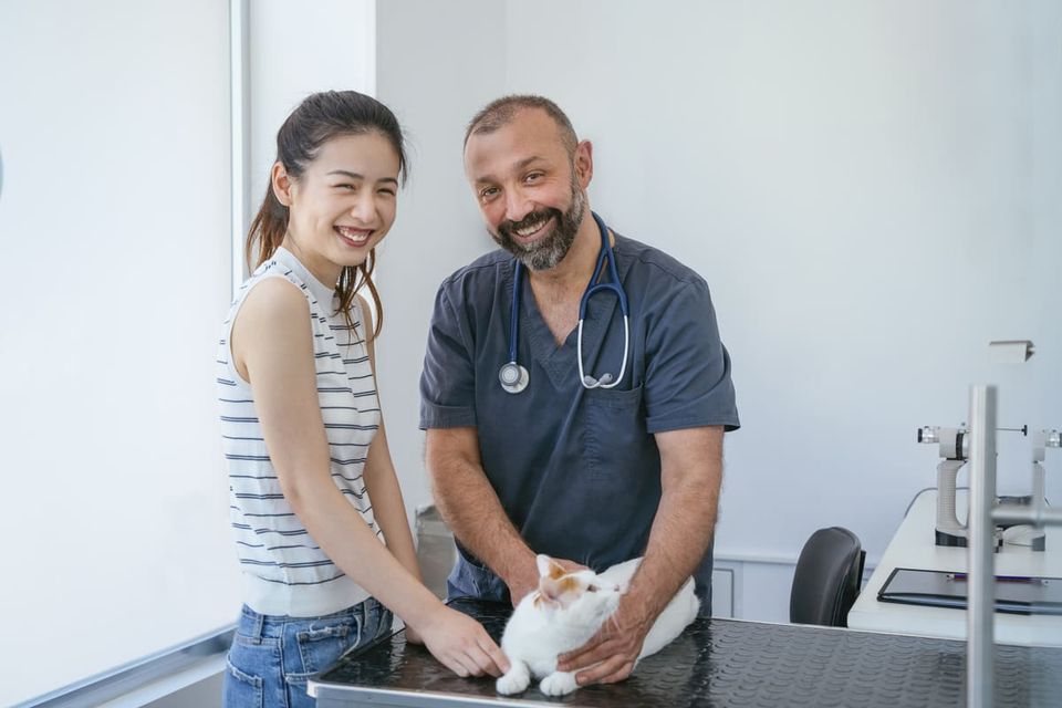 Fidelizar os tutores na clínica veterinária: 5 passos essenciais