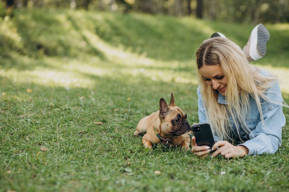 Posts Veterinários para Instagram e Facebook